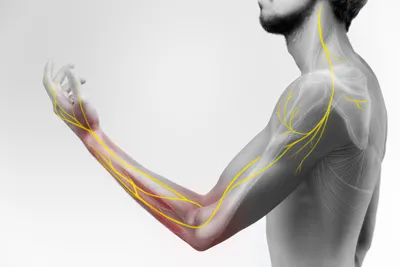 How Nervous System Stress Impacts 15 Major Health Issues