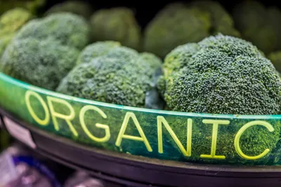 What Are the Best Foods for Gut Healing?
