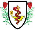 American Naturopathic Medical Association